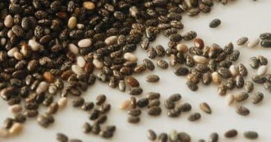 Chia Seeds Nutrition