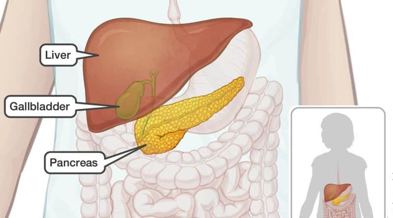 A Good Diet Makes a Happy Gall Bladder