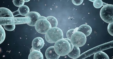 Killing Candida Albicans With Microwave - Decreases Food Nutrition Value