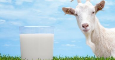 Elderly Nutrition and the Supporting Role of Goat Milk