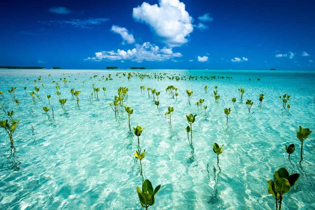 Tuvalu Tourist Destinations for an Astonishing Holiday Tour Tuvalu Tourist Destinations for an Astonishing Holiday Tour