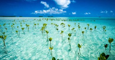 Tuvalu Tourist Destinations for an Astonishing Holiday Tour