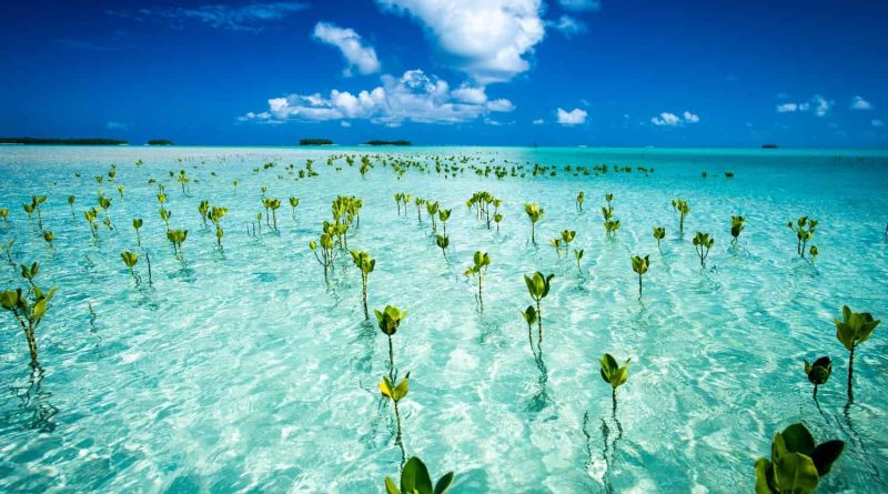 Tuvalu Tourist Destinations for an Astonishing Holiday Tour