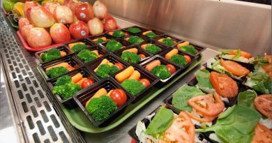 School Food Services Providers in NJ With Their Healthy School Lunch Plan