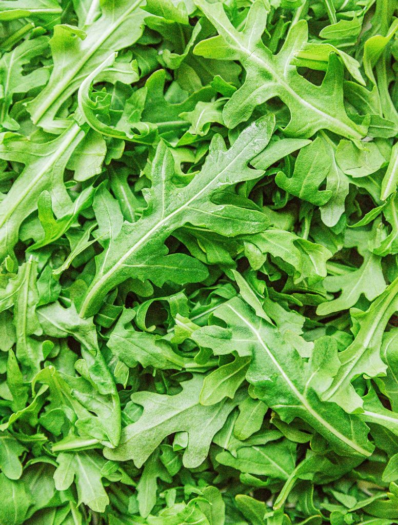 Benefits of Arugula – Nature’s Fat Burner! Benefits of Arugula – Nature’s Fat Burner!