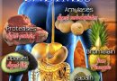 Enzyme Nutrition – The Key to Longevity