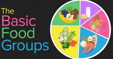 Whatever Happened to the Basic Four Food Groups?