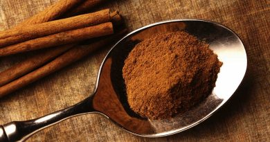 Cinnamon for Weight Loss: Myth and Reality