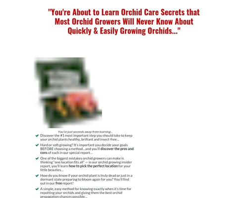 Orchid Care Tips – Orchid Secrets Revealed